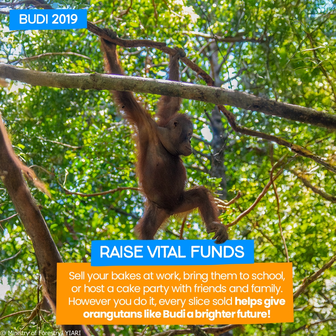 International Animal Rescue tweet media