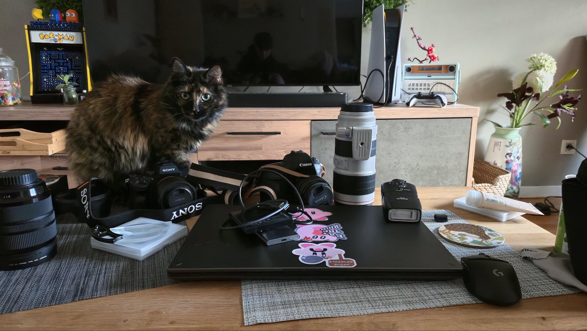 Leyca ✿ tweet media