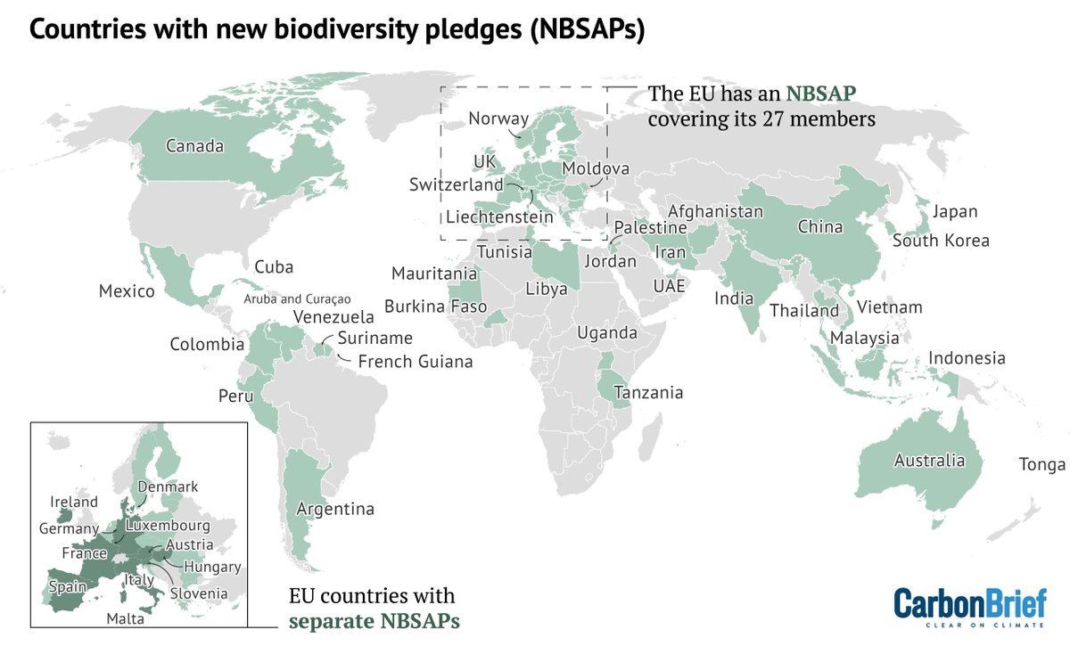Carbon Brief (@carbonbrief) on Twitter photo NEW – UK belatedly publishes nature pledge at COP16 in Rome as it seeks ‘leadership role’ | <a href="/daisydunnesci/">Daisy Dunne</a>
Read here: buff.ly/438L2Pu NEW – UK belatedly publishes nature pledge at COP16 in Rome as it seeks ‘leadership role’ | <a href="/daisydunnesci/">Daisy Dunne</a>
Read here: buff.ly/438L2Pu