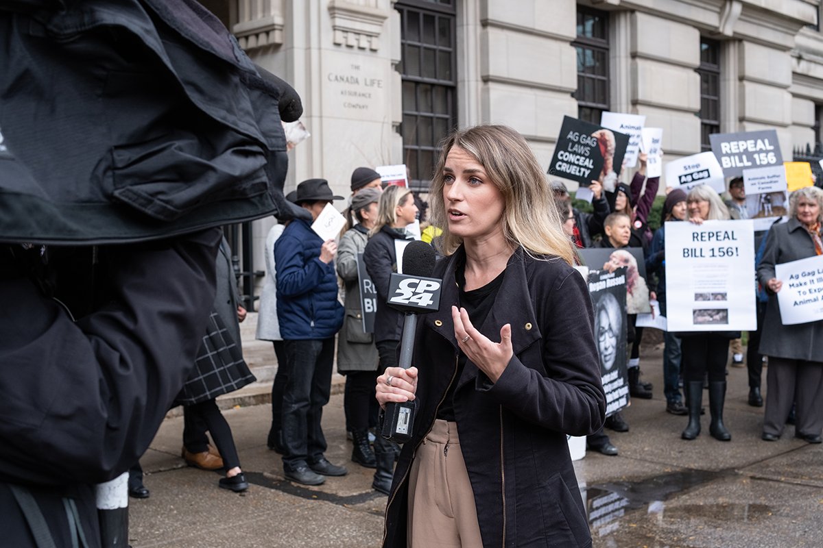 How does the media shape the way we think about animals? Why do we see some as food &amp; others as companions?

Explore how the media reinforces narratives of animal exploitation &amp; how campaigners are working to challenge them.

Read more sarx.org.uk/articles/anima…

#Vegan #Animals