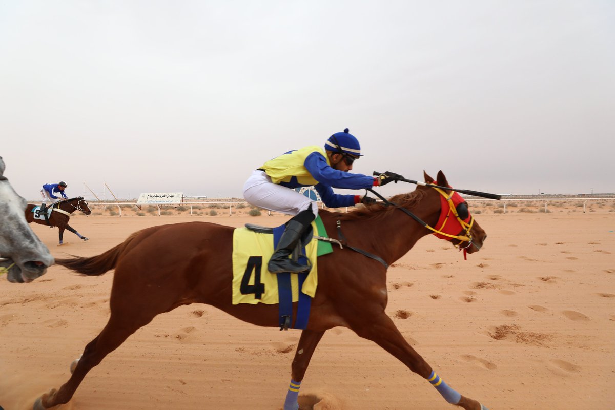 ميدان الفروسية بمحافظة رماح tweet media