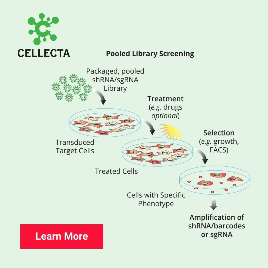 CELLECTA's tweet image. Explore how Cellecta’s cutting-edge technology streamlines genetic screening and profiling in our comprehensive overview poster. 
📄 Download your free copy today: loom.ly/8N6SWtE

#CRISPRTools #GenomicsResearch #FunctionalGenomics