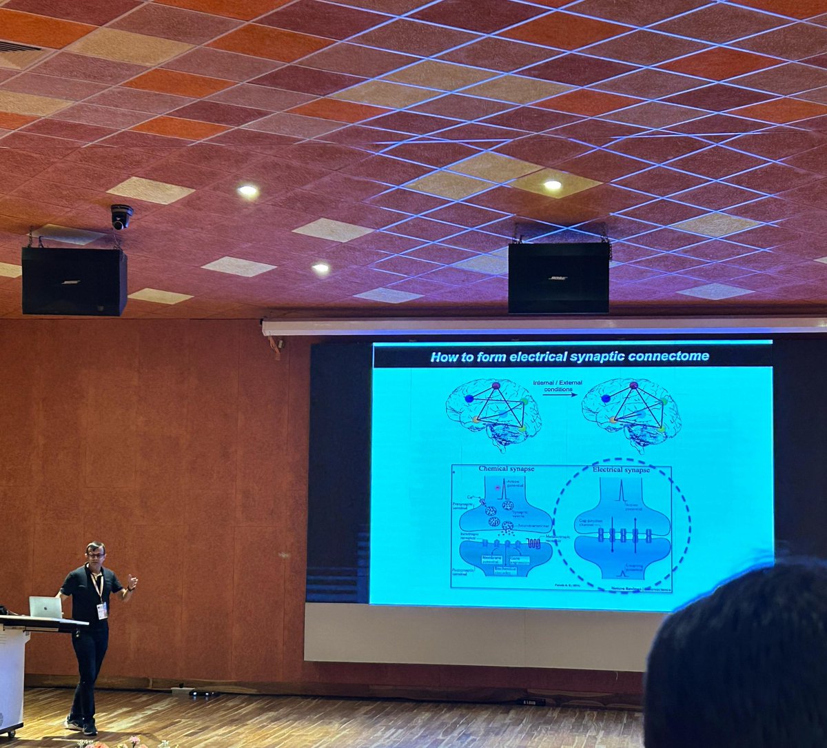 Bhattacharya Lab NCBS (@amzelegans) on Twitter photo Last week we were at the #M2T2_2025 meeting in IIT Jodhpur! <a href="/MuraliSudhanand/">Sudhanand Murali</a> presented a flash talk and a poster, describing his work on trafficking mechanisms of electrical synapses!
Super thrilled to have discussed our work in this group of excellent scientists! Last week we were at the #M2T2_2025 meeting in IIT Jodhpur! <a href="/MuraliSudhanand/">Sudhanand Murali</a> presented a flash talk and a poster, describing his work on trafficking mechanisms of electrical synapses!
Super thrilled to have discussed our work in this group of excellent scientists!