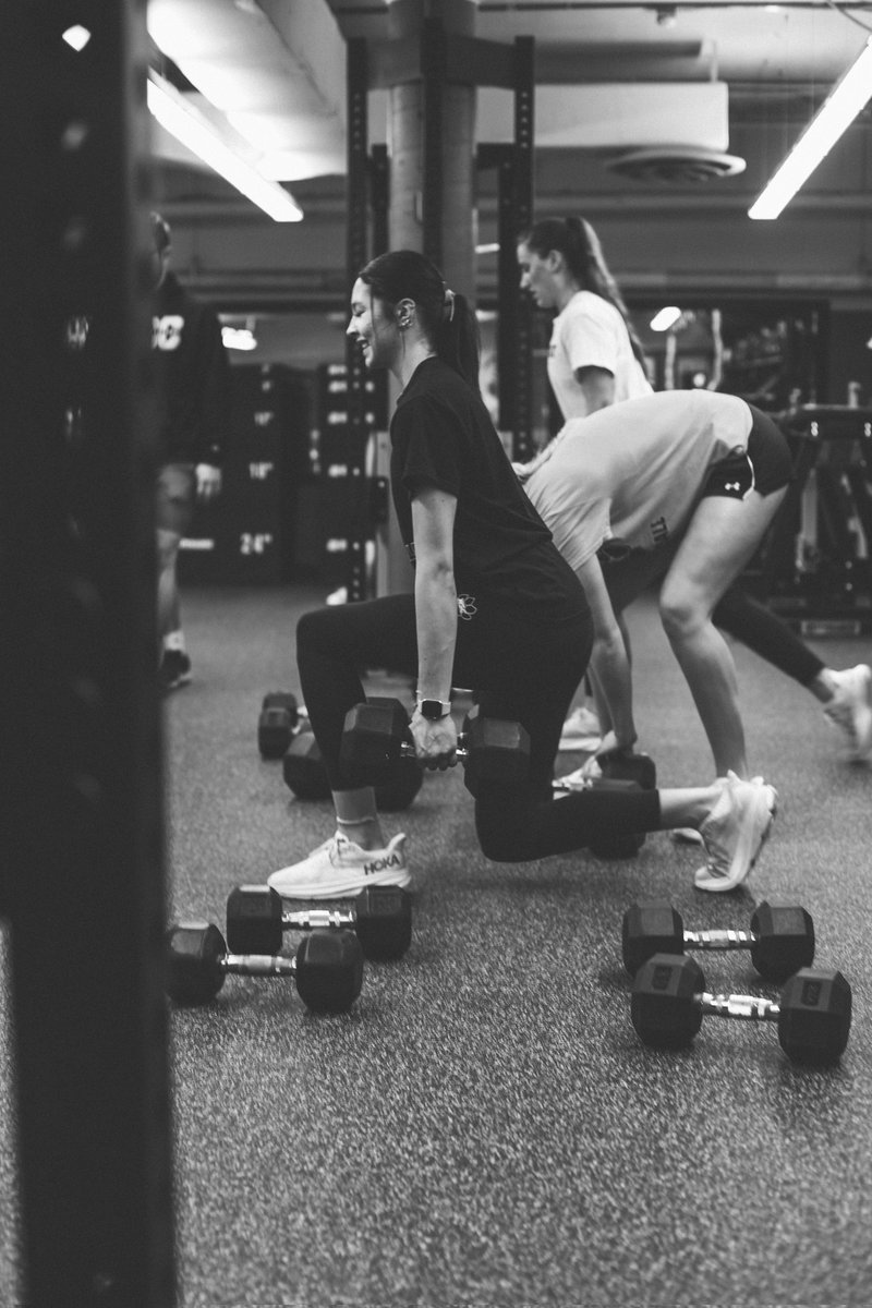 WSC Wildcat Volleyball tweet media