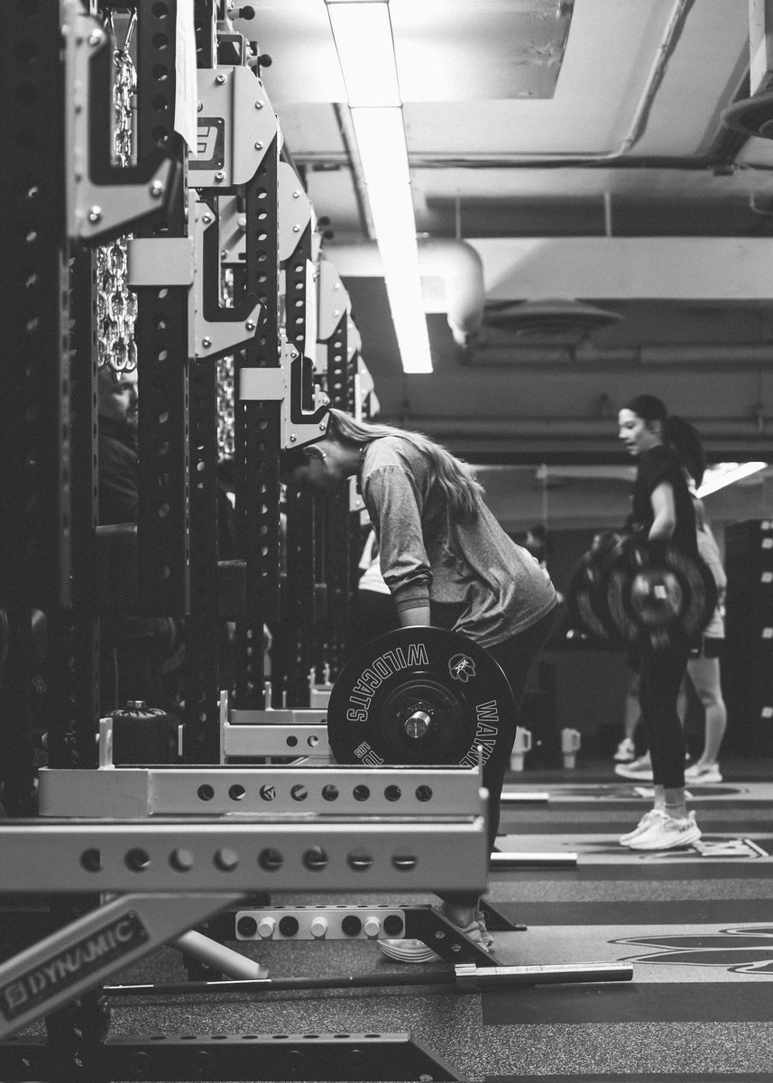 WSC Wildcat Volleyball tweet media