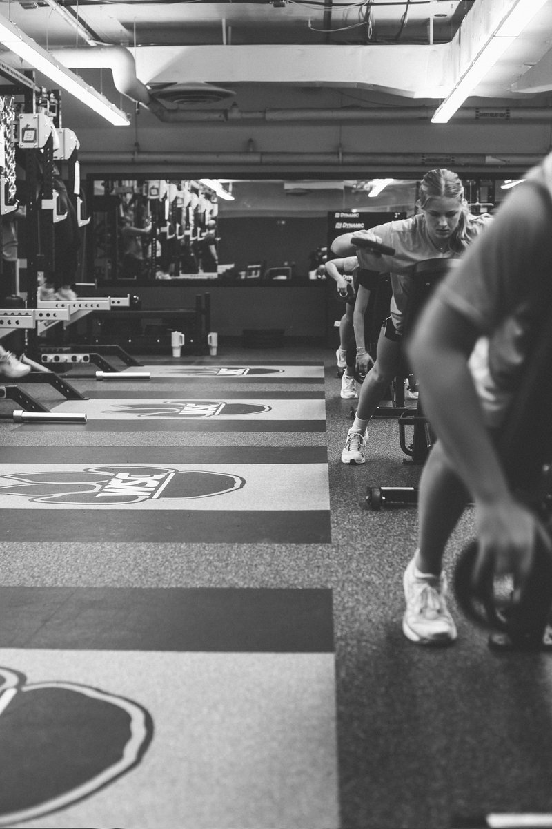 WSC Wildcat Volleyball tweet media