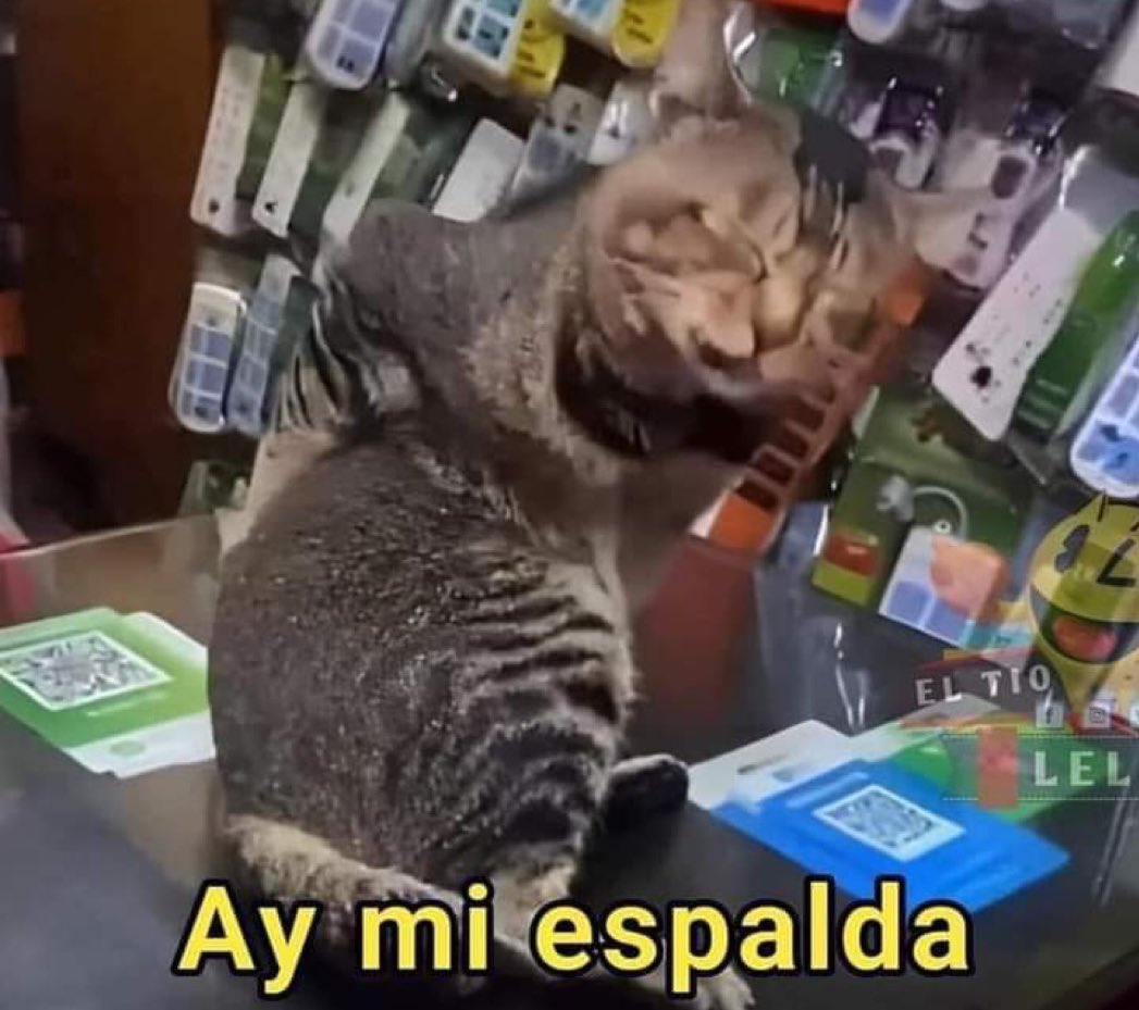 Guarromantico_'s tweet photo. “Los jóvenes siempre están fuertes”.

Yo a cada rato: https://t.co/gyT27qTJLt