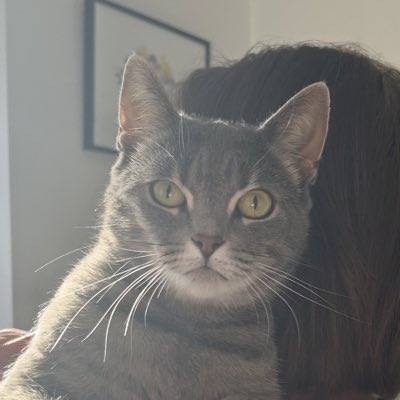 LG/Misty Moo tweet media