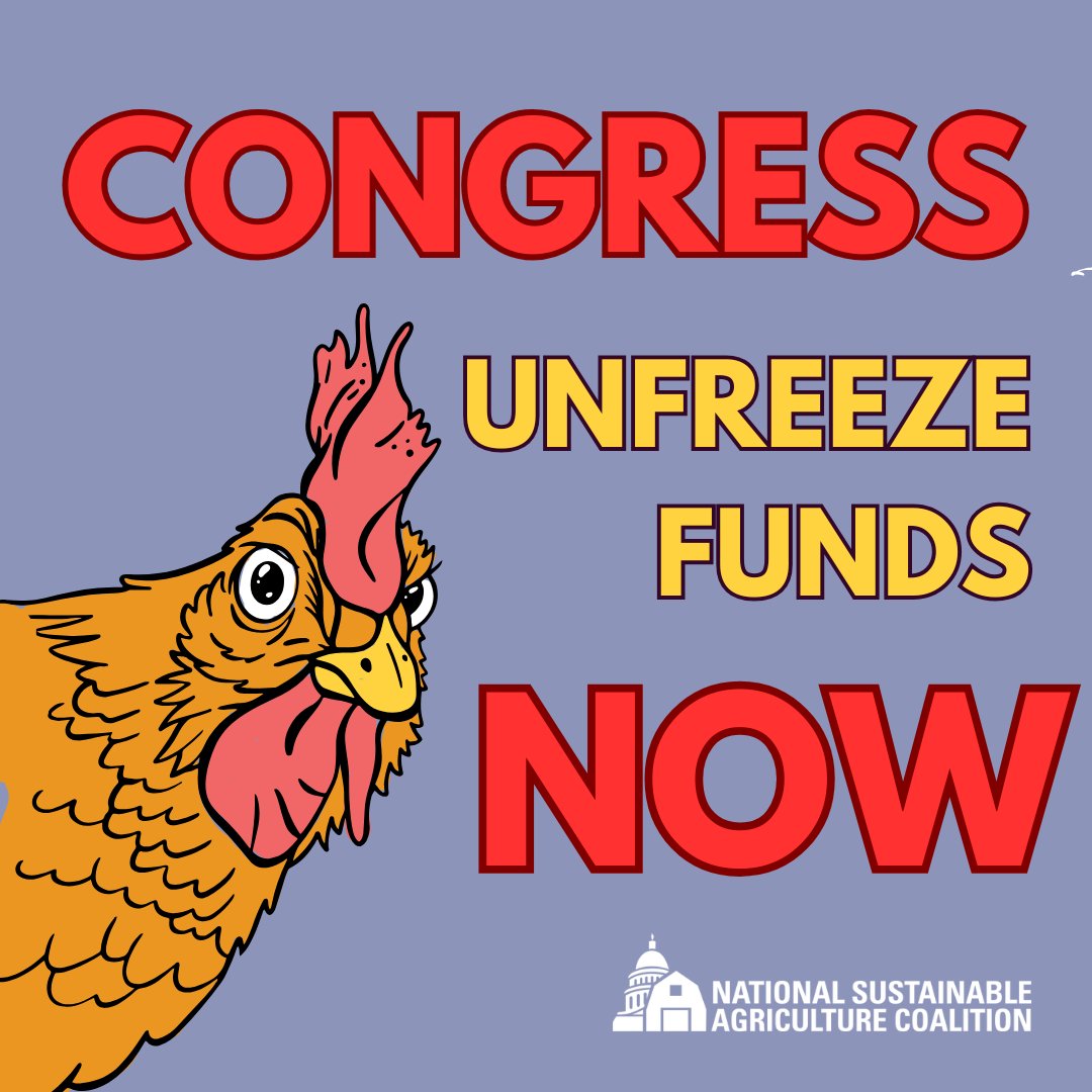 djsteffifunk's tweet photo. .@SenatorDurbin The programs DOGE is targeting as “wasteful” have always been operating on razor thin margins. This is a labor of love and care that makes our communities stronger. Congress must intervene, risk losing these essential community resources entirely #UnfreezeFundsNOW https://t.co/5Vhv7D9EA4