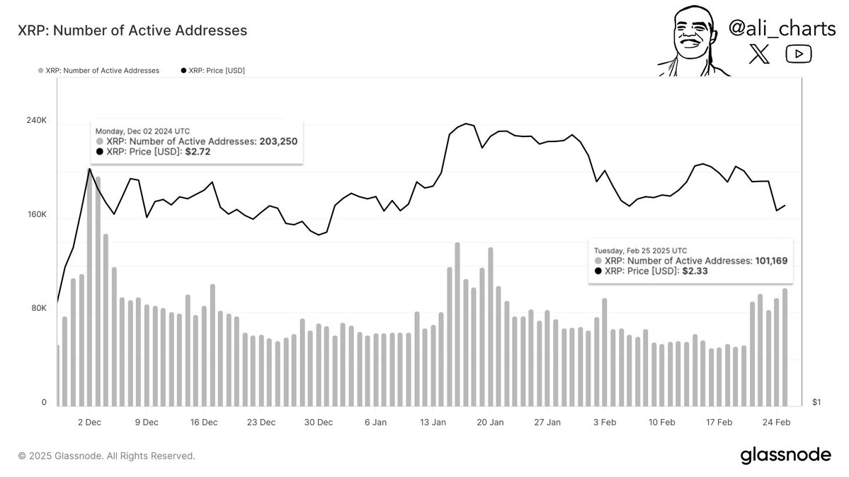 XRP Network Activity