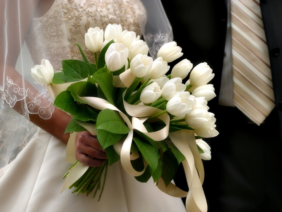 aussiegateway's tweet image. Whether you're hosting a wedding, a social gathering, or a corporate event, PARKROYAL Parramatta's versatile venues and impeccable service ensure unforgettable moments. 
bit.ly/4fQ6745

#PARKROYALParramatta #CelebrateInStyle #UnforgettableEvents #PerfectVenue #Parramatta