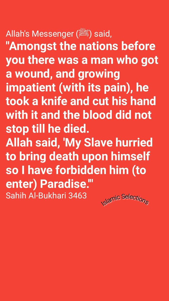 from_islamic's tweet photo. #islamicselections #sunnah #Hadith #hadeeth #reverttoislam #revertmuslim #revertmuslimah #islamictwitter https://t.co/zu7BifJu17