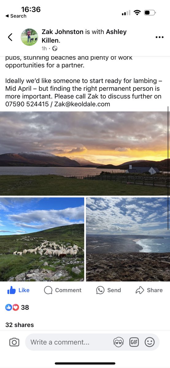 Shepherding job if anyone’s looking.