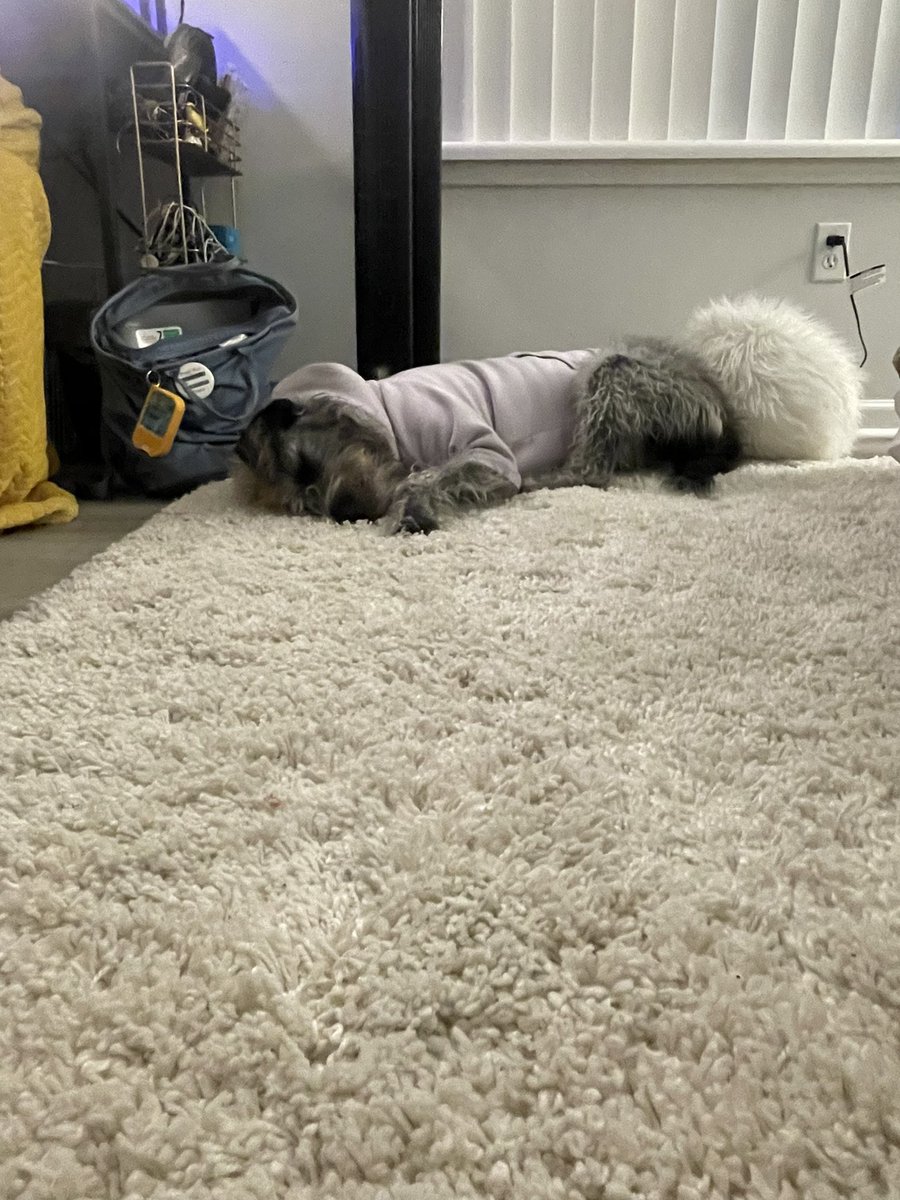 mabel update cuz she was NAUGHTY