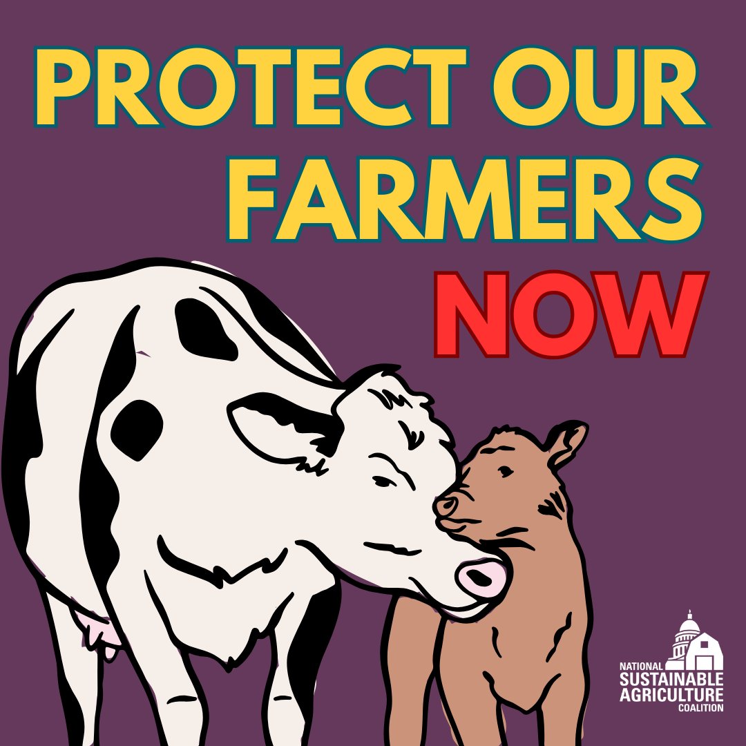 djsteffifunk's tweet photo. Hey @SenatorDurbin and @SenDuckworth! Farmers and rural and urban communities in Illinois are counting on you to stop the chaotic and reckless funding freeze at USDA that leaves farmers out to dry and will drive up food prices at the store. #UnfreezeFundsNOW https://t.co/Fdev8H2qIm