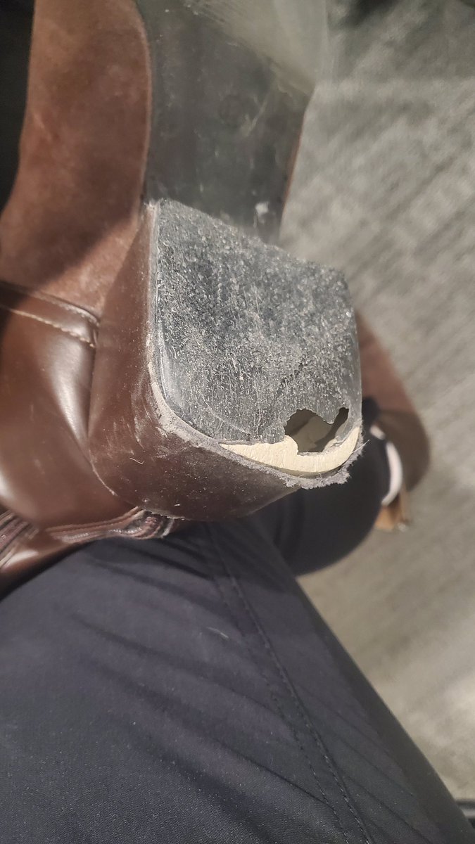 Jaslyn Snell tweet media