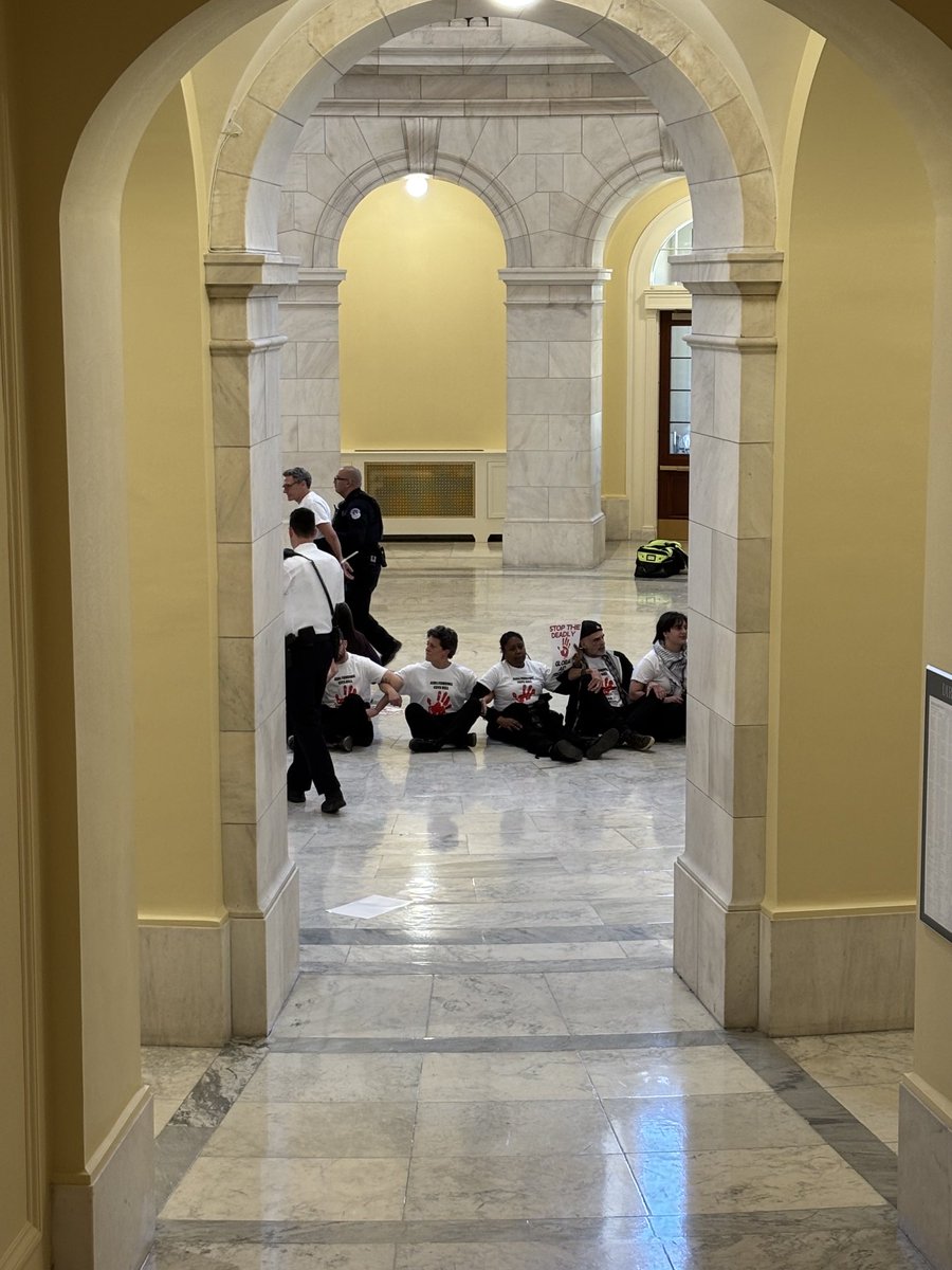 Carmen Paun tweet media