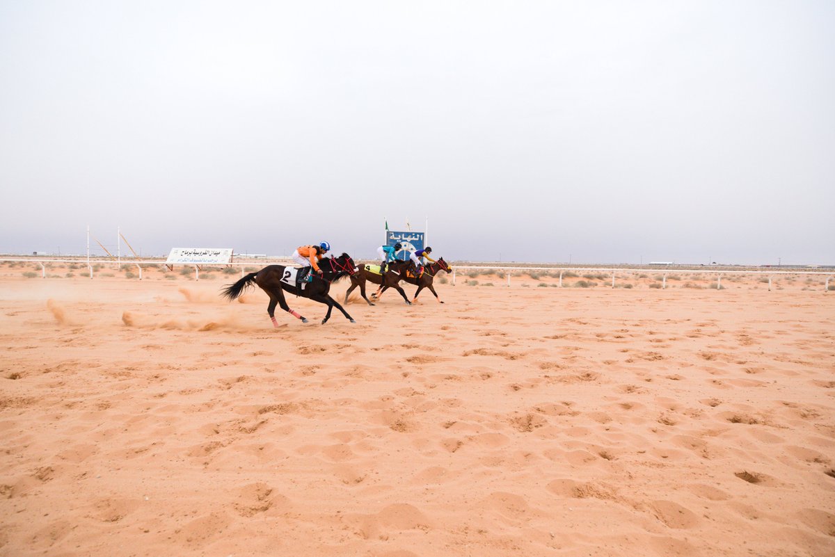 ميدان الفروسية بمحافظة رماح tweet media