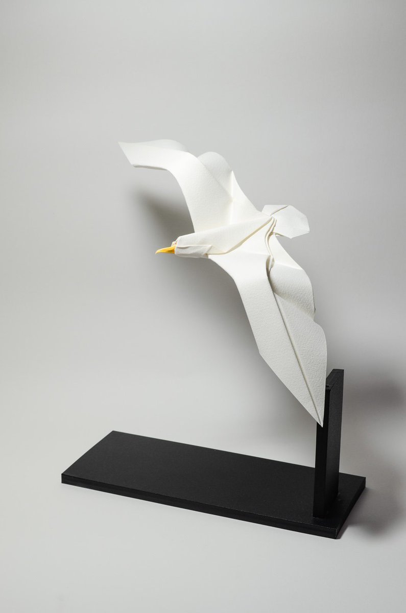 benslight.eth 🇨🇱 tweet media