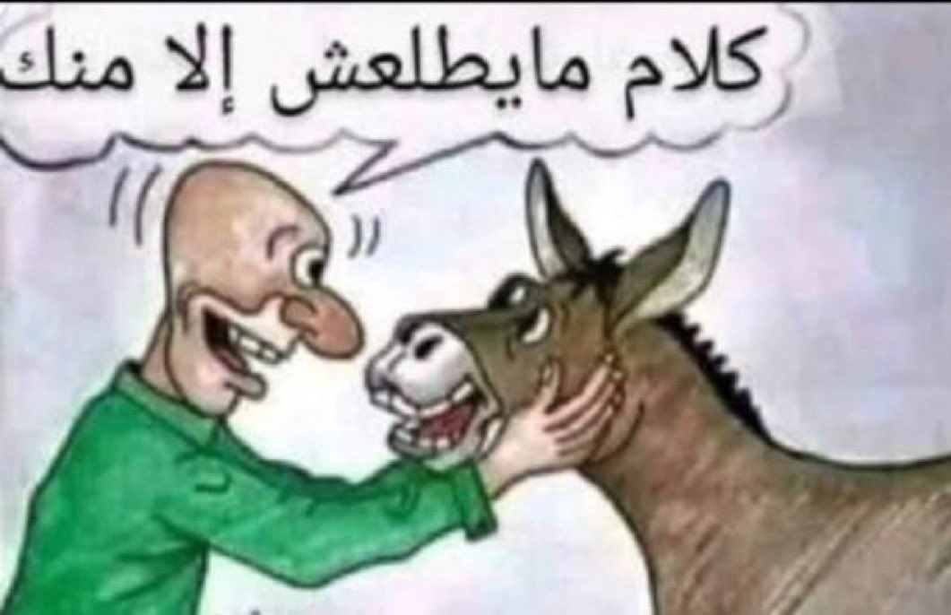 clearvision01's tweet photo. @samiebrahim2011 @amrelhady4000 https://t.co/KywSoHrycP
