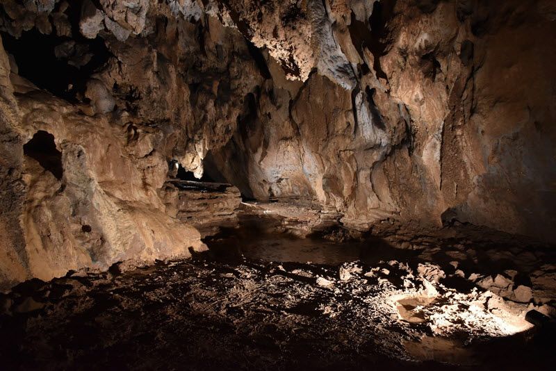 @ArqueoUBU (@arqueoubu) on Twitter photo <a href="/Arquerabazo1/">Arquerabazo</a> <a href="/Arqueo_Activa/">ARqUEoLOGíA ACTiVa</a> <a href="/CuevaPasiega/">Cueva De La Pasiega</a> <a href="/shinoda1406/">Ale NM</a> <a href="/jmghistoriador/">Jesús M.G.</a> <a href="/arqueocas/">Arqueocas</a> <a href="/Arqueolegs_Cat/">Arqueòlegs.cat</a> Curso "online"
Cuevas y abrigos: El arte paleolítico. 30.000 años de evolución de la expresión gráfica bit.ly/49AOO4s
Guía bit.ly/434fMPs
<a href="/nuriafloreso/">Núria🦁♌️🌻</a> <a href="/mariaho_/">Maria Herrero-Otal</a> <a href="/AnnaBush98/">anna</a> <a href="/WhiteRabbit36/">Antonio Rodríguez-Hidalgo</a> <a href="/MAGaMuseu/">Museu Arqueològic de Gandia</a> @BielSoel <a href="/prehistoriaCS/">Prehistòria de Castelló</a> <a href="/ArqueoFeed/">ArqueoFeed</a> <a href="/paulabudorosa/">Paula Budó Rosa</a> <a href="/Arquerabazo1/">Arquerabazo</a> <a href="/Arqueo_Activa/">ARqUEoLOGíA ACTiVa</a> <a href="/CuevaPasiega/">Cueva De La Pasiega</a> <a href="/shinoda1406/">Ale NM</a> <a href="/jmghistoriador/">Jesús M.G.</a> <a href="/arqueocas/">Arqueocas</a> <a href="/Arqueolegs_Cat/">Arqueòlegs.cat</a> Curso "online"
Cuevas y abrigos: El arte paleolítico. 30.000 años de evolución de la expresión gráfica bit.ly/49AOO4s
Guía bit.ly/434fMPs
<a href="/nuriafloreso/">Núria🦁♌️🌻</a> <a href="/mariaho_/">Maria Herrero-Otal</a> <a href="/AnnaBush98/">anna</a> <a href="/WhiteRabbit36/">Antonio Rodríguez-Hidalgo</a> <a href="/MAGaMuseu/">Museu Arqueològic de Gandia</a> @BielSoel <a href="/prehistoriaCS/">Prehistòria de Castelló</a> <a href="/ArqueoFeed/">ArqueoFeed</a> <a href="/paulabudorosa/">Paula Budó Rosa</a>