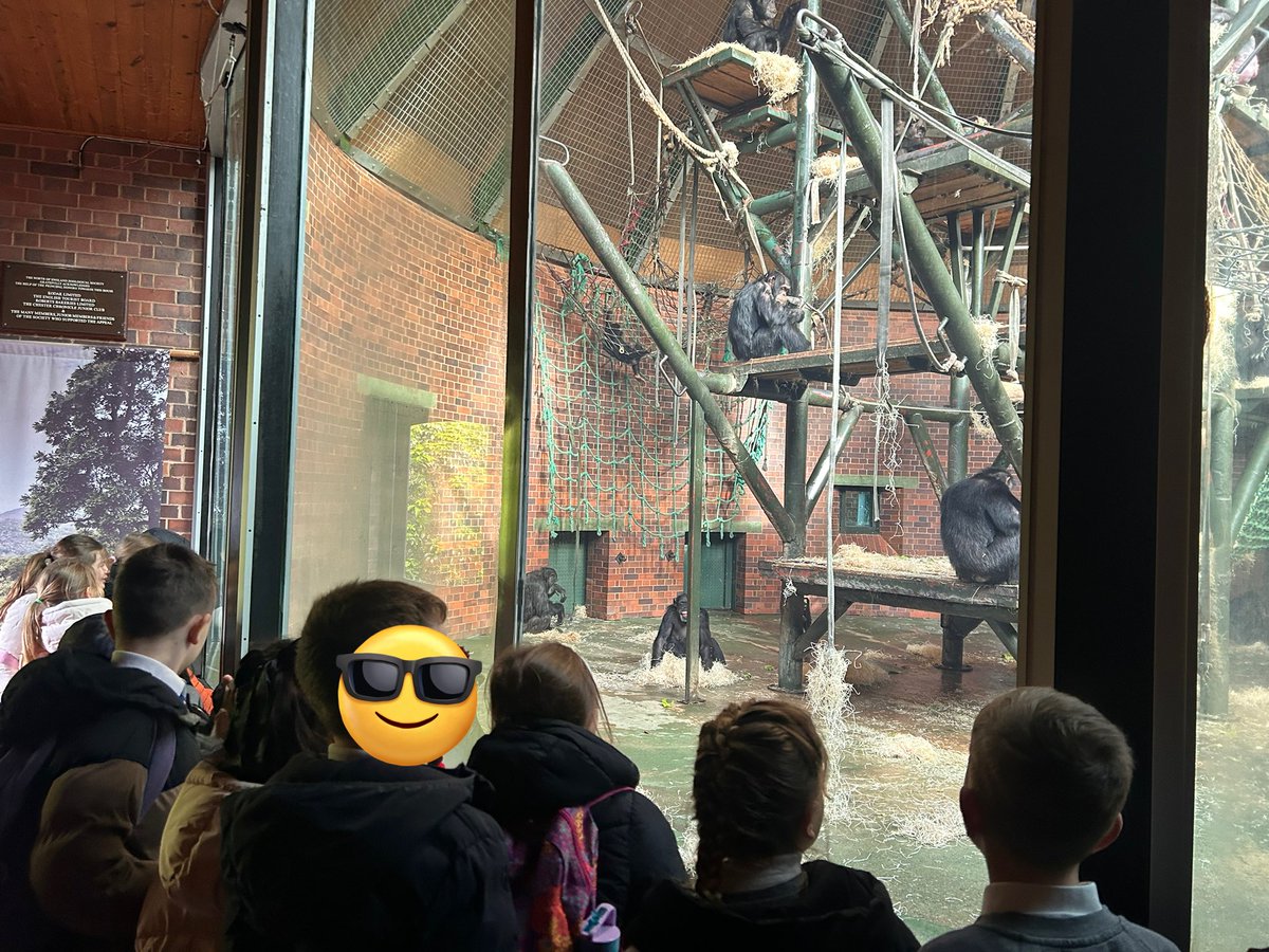 DeePointPluto's tweet photo. We had the best time at Chester Zoo on Monday! We saw so many awesome animals, what a great way to start off the new half term! Huge thanks to Alex @LearnatCZ, we learnt so much! @DeePointPrimary https://t.co/7qZ6d8Rb4Z
