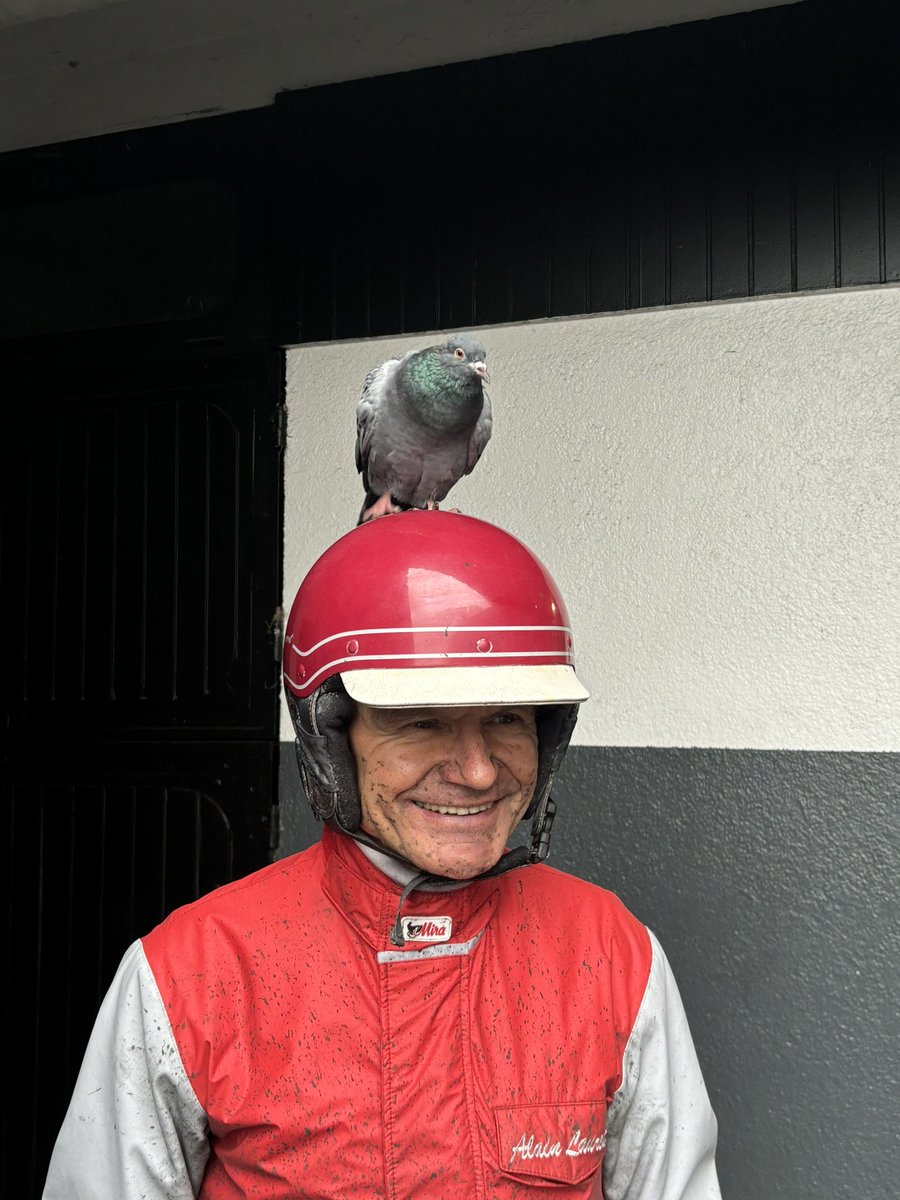 Edouard Bertrand tweet media