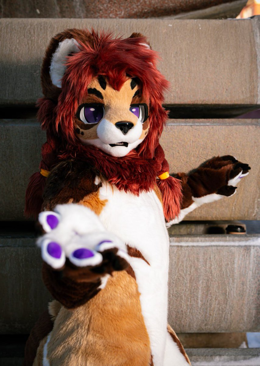 No time for questions, hold my paw

📸 : <a href="/KyanitePhotos/">Kyanite Photography</a>