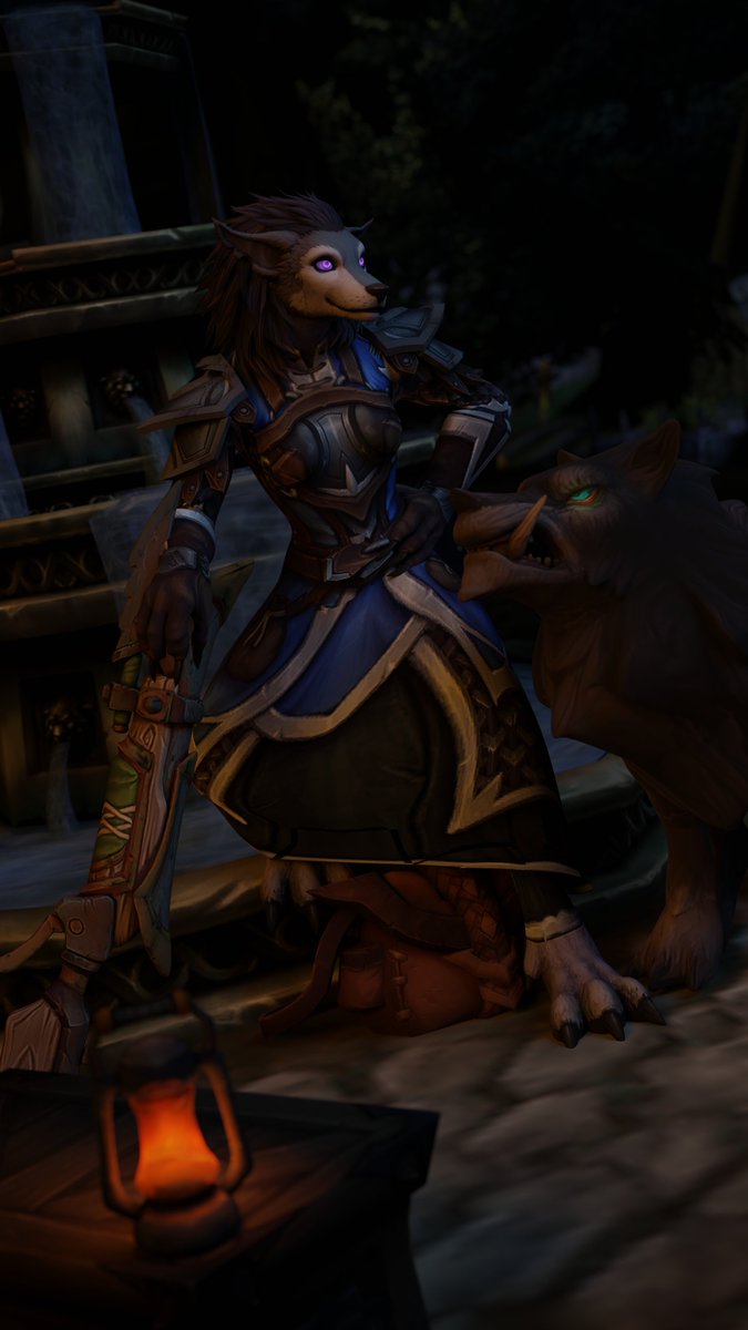 A well-deserved break in the respite of Darkshire's (relative) safety. But better to keep weapon and companion close by !  

 Commission for LenaVamme