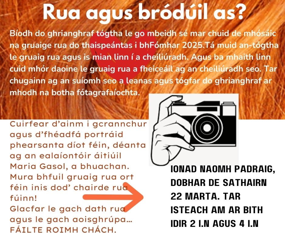 Tionscnamh suimiúil ar siúl ag an t-ealaíontóir Maria Gasol inár mhaith léi ceiliúradh a dhéanamh ar gruaige rua. Níos mó eolais sa phóstaeir thíos. Bígí i dteagmháil léi má tá suim agaibh ann. 

#DúnnanGall #Gaeilge #SeoíanGhaeltacht