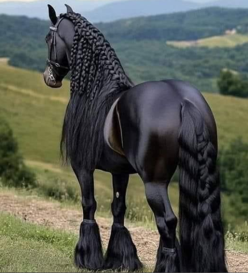 Lavoratto Ivonne (@lavorattoivonne) on Twitter photo #Mozzafiato💜#Dylan👑#MonufriendsⓂ️#TeamKaren👠
🌿<a href="/osyarenistylish/">💃𝕠𝕤𝕪𝕒𝕣𝕖𝕟𝕚𝕤𝕥𝕪𝕝𝕚𝕤𝕙🏋️お洒落にスタイリッシュ🕺</a> <a href="/LavorattoIvonne/">Lavoratto Ivonne</a> <a href="/Mrk4786/"> 𝐌𝐨𝐧𝐮(◕‿-)✌</a>
🌿<a href="/mrk2786/">★ɱσɳµ (◕‿-)🫰</a> <a href="/osyastar777/">🍾🥂🧁🥐🍫Ⓞⓢⓨⓐⓢⓣⓐⓡ🌏🕊️🤝🕊️🌏</a> <a href="/V13lula/">Karen Lúcia♀️🚩🌵</a> <a href="/7j00l/">𝓝𝓪𝔃𝓲𝓶 𝓐𝓵𝓲</a>
🌿<a href="/TlayAnl1903/">TüL🅰️y</a> <a href="/Tlayanl2/">Tülay Şanlı 🇹🇷</a> <a href="/LauraMi25356713/">Laura Miller</a>
🌿<a href="/mohamedaln70246/">mohamedalnmer</a> <a href="/Ahmedjul/">Äĥmęđ KĦâlẻđ </a> @a_tab9102_a
🌿<a href="/glenton123/">Mark Glenton/ Mindfrontiers🤵🧐</a> <a href="/govadhannasih/">गोवधंन।सिहं गोवर्धन।सिहं</a> <a href="/3dxRomero3XO/">John Romero 🤖#𝓣𝓮𝓪𝓶𝓡𝓸𝓶𝓮𝓻𝓸🤖</a>
🌿@phoolchandindia #Mozzafiato💜#Dylan👑#MonufriendsⓂ️#TeamKaren👠
🌿<a href="/osyarenistylish/">💃𝕠𝕤𝕪𝕒𝕣𝕖𝕟𝕚𝕤𝕥𝕪𝕝𝕚𝕤𝕙🏋️お洒落にスタイリッシュ🕺</a> <a href="/LavorattoIvonne/">Lavoratto Ivonne</a> <a href="/Mrk4786/"> 𝐌𝐨𝐧𝐮(◕‿-)✌</a>
🌿<a href="/mrk2786/">★ɱσɳµ (◕‿-)🫰</a> <a href="/osyastar777/">🍾🥂🧁🥐🍫Ⓞⓢⓨⓐⓢⓣⓐⓡ🌏🕊️🤝🕊️🌏</a> <a href="/V13lula/">Karen Lúcia♀️🚩🌵</a> <a href="/7j00l/">𝓝𝓪𝔃𝓲𝓶 𝓐𝓵𝓲</a>
🌿<a href="/TlayAnl1903/">TüL🅰️y</a> <a href="/Tlayanl2/">Tülay Şanlı 🇹🇷</a> <a href="/LauraMi25356713/">Laura Miller</a>
🌿<a href="/mohamedaln70246/">mohamedalnmer</a> <a href="/Ahmedjul/">Äĥmęđ KĦâlẻđ </a> @a_tab9102_a
🌿<a href="/glenton123/">Mark Glenton/ Mindfrontiers🤵🧐</a> <a href="/govadhannasih/">गोवधंन।सिहं गोवर्धन।सिहं</a> <a href="/3dxRomero3XO/">John Romero 🤖#𝓣𝓮𝓪𝓶𝓡𝓸𝓶𝓮𝓻𝓸🤖</a>
🌿@phoolchandindia