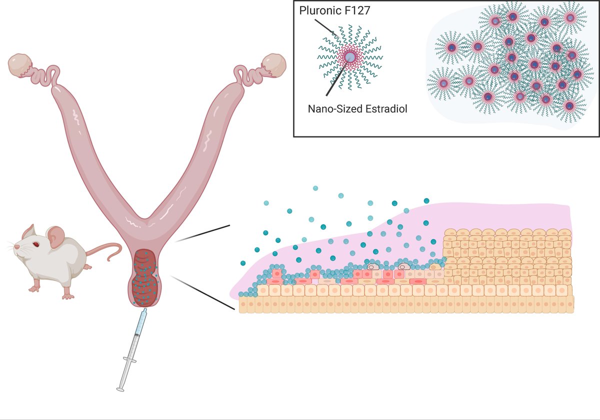 Drug Delivery and Translational Research (@ddtremedia) on Twitter photo It is our pleasure to share the Best Paper awardee of the <a href="/DDTReMedia/">Drug Delivery and Translational Research</a> February 2025 Issue.
link.springer.com/article/10.100…
<a href="/CRSScience/">Controlled Release Society</a> <a href="/CRS_FG_Gene/">CRS Focus Group - Gene Delivery and Gene Editing</a> <a href="/CRS_FG_Immuno/">CRS Immuno Delivery</a> <a href="/CRS_FG_NANO/">CRS NANO</a> <a href="/CRS_FG_Ocular/">CRS Focus Group - Ocular Delivery</a> <a href="/CRS_FG_Oral/">CRS Oral Delivery Focus Group</a> <a href="/CRS_FG_SkinMuco/">CRS Focus Group - Skin and Mucosal Delivery</a> <a href="/CRS_FG_BioEng/">CRS Focus Group-BioEng</a> <a href="/CRS_YSC/">Young Scientist Committee YSC-CRS</a> @MariaJ_Alonso It is our pleasure to share the Best Paper awardee of the <a href="/DDTReMedia/">Drug Delivery and Translational Research</a> February 2025 Issue.
link.springer.com/article/10.100…
<a href="/CRSScience/">Controlled Release Society</a> <a href="/CRS_FG_Gene/">CRS Focus Group - Gene Delivery and Gene Editing</a> <a href="/CRS_FG_Immuno/">CRS Immuno Delivery</a> <a href="/CRS_FG_NANO/">CRS NANO</a> <a href="/CRS_FG_Ocular/">CRS Focus Group - Ocular Delivery</a> <a href="/CRS_FG_Oral/">CRS Oral Delivery Focus Group</a> <a href="/CRS_FG_SkinMuco/">CRS Focus Group - Skin and Mucosal Delivery</a> <a href="/CRS_FG_BioEng/">CRS Focus Group-BioEng</a> <a href="/CRS_YSC/">Young Scientist Committee YSC-CRS</a> @MariaJ_Alonso