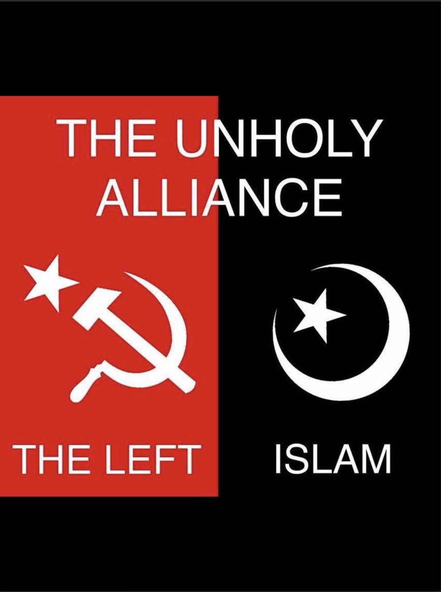 Felisk the cat tweet media