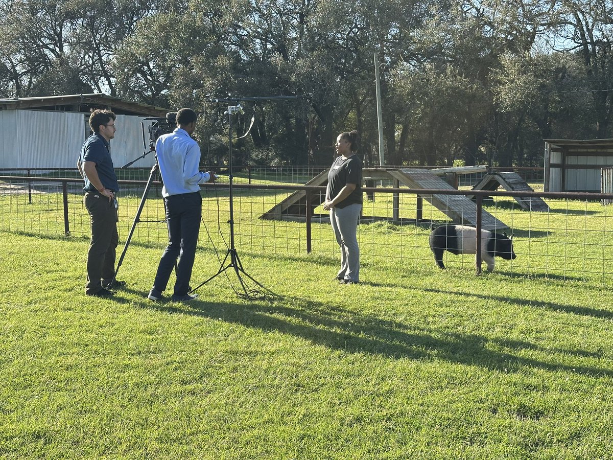 Alexia and Ameri talking about all the great things we have going on preparing for the #springtriclub livestock show! <a href="/SpringISD_CTE/">SpringISD_CTE</a> <a href="/SPRINGHIGHLIONS/">Spring High School</a> #WeAreSpring