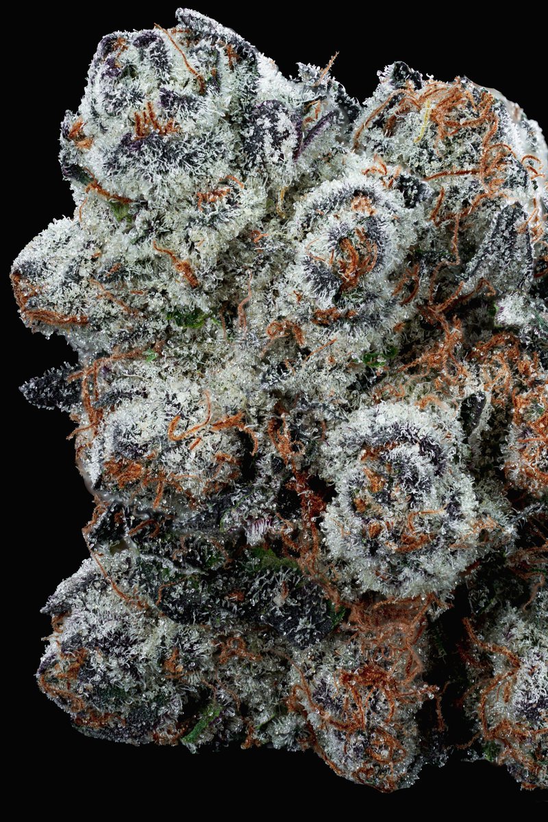 The Grower Circle tweet media