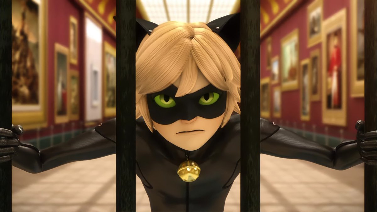 daily adrichat (@chatonpics) on Twitter photo 