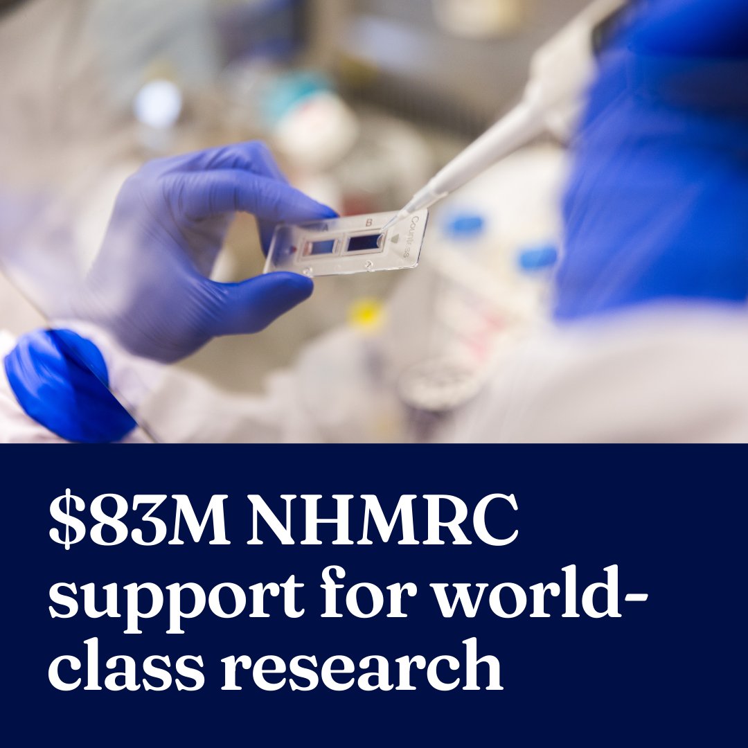 UniMelb MDHS (@unimelbmdhs) on Twitter photo 45 research projects across our Faculty and <a href="/FEITUniMelb/">Faculty of Engineering and Information Technology</a> have been awarded $83.7M in NHMRC funding. These grants support researchers tackling major health challenges, from cancer to mental health and infectious diseases. More on these projects → unimelb.me/3ERaK0I 45 research projects across our Faculty and <a href="/FEITUniMelb/">Faculty of Engineering and Information Technology</a> have been awarded $83.7M in NHMRC funding. These grants support researchers tackling major health challenges, from cancer to mental health and infectious diseases. More on these projects → unimelb.me/3ERaK0I