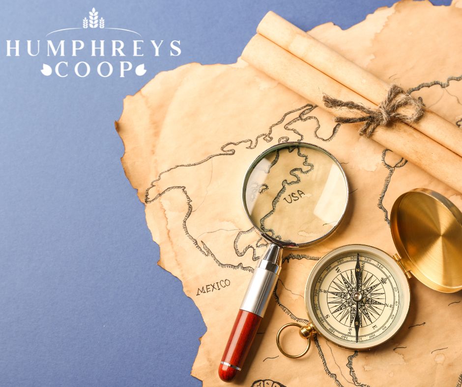 Did you know that wheat was first introduced by the first English colonists and quickly became the main cash crop of farmers who sold it to urban populations and exporters⁉️

 In colonial times, its culture became concentrated in the Middle Colonies, which became known as the ...