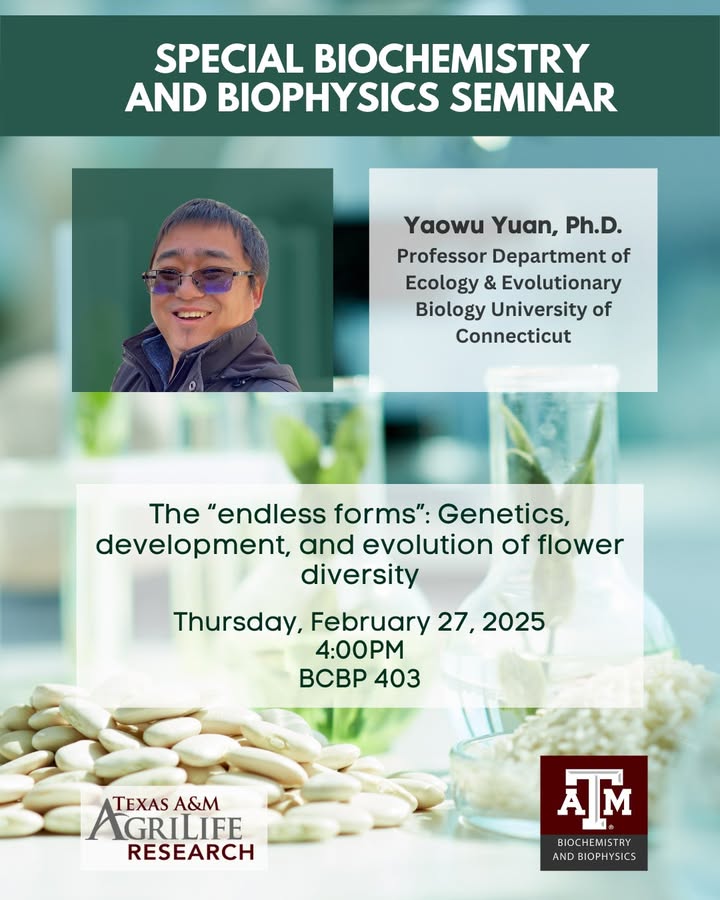 TAMU BCBP (@tamubcbp) on Twitter photo 📌 Don't miss this seminar happening TOMORROW! 📌
Dr. Yaowu Yuan, professor at <a href="/UConneeb/">UConn EEB Department</a>, will be guest speaking for a special seminar happening February 27 at 4 p.m. Join us in BCBP 403! #TAMUBCBP 📌 Don't miss this seminar happening TOMORROW! 📌
Dr. Yaowu Yuan, professor at <a href="/UConneeb/">UConn EEB Department</a>, will be guest speaking for a special seminar happening February 27 at 4 p.m. Join us in BCBP 403! #TAMUBCBP
