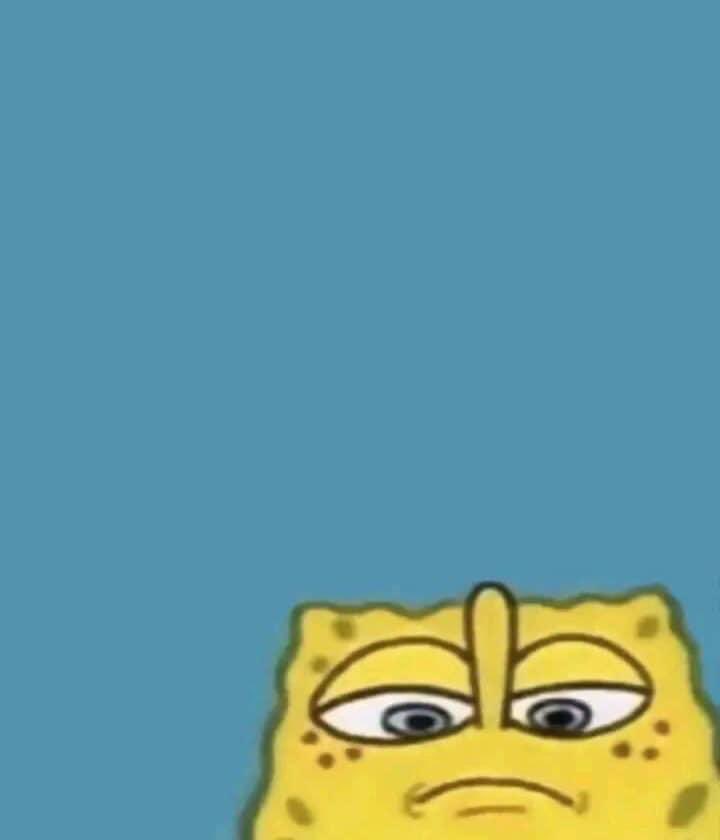 c0ver2c0ver's tweet image. POV: me watching approved pop up on the card reader while buying more books