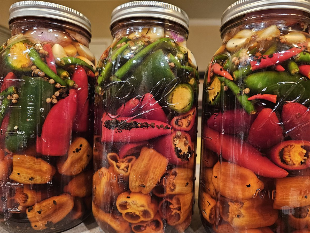 Puffinman420's tweet photo. The humble beginnings of our fermented hot sauces. https://t.co/rHd71aBJAO