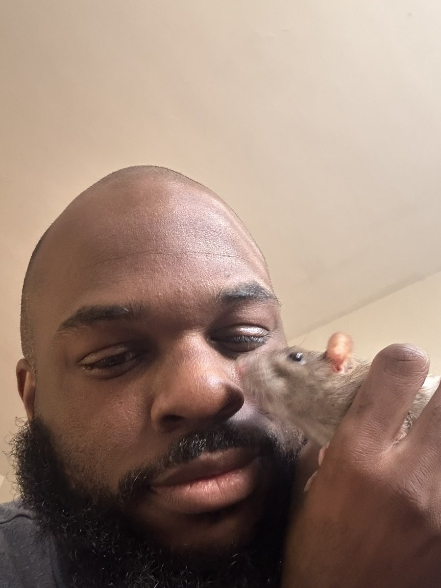 LuminoussStar_'s tweet photo. @IAmLuiJesus They been all over every popular post and also I love rats my babies are fantastic https://t.co/jxs7pbbyTA