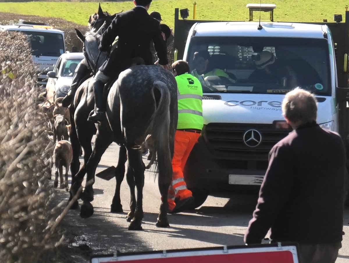 North Dorset Hunt Saboteurs tweet media