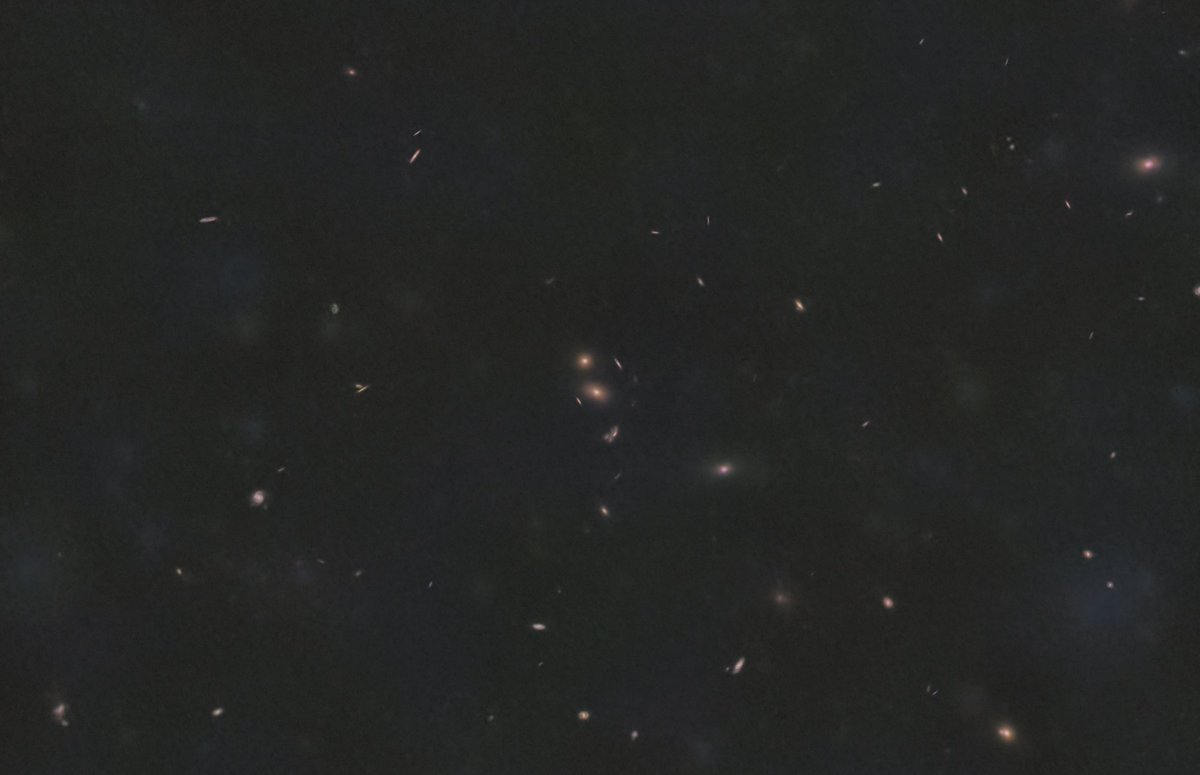 Andrew McCarthy tweet media