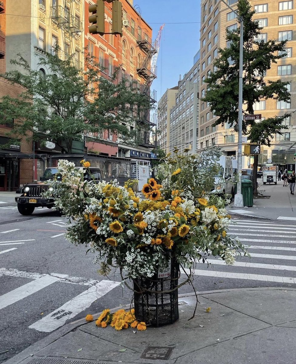 VIEW PORN (@viewporn____) on Twitter photo 