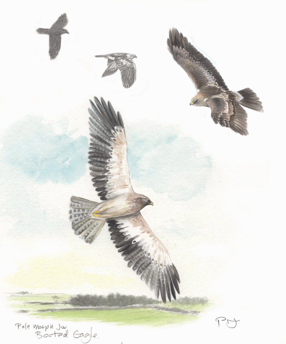 Phil Jones tweet media