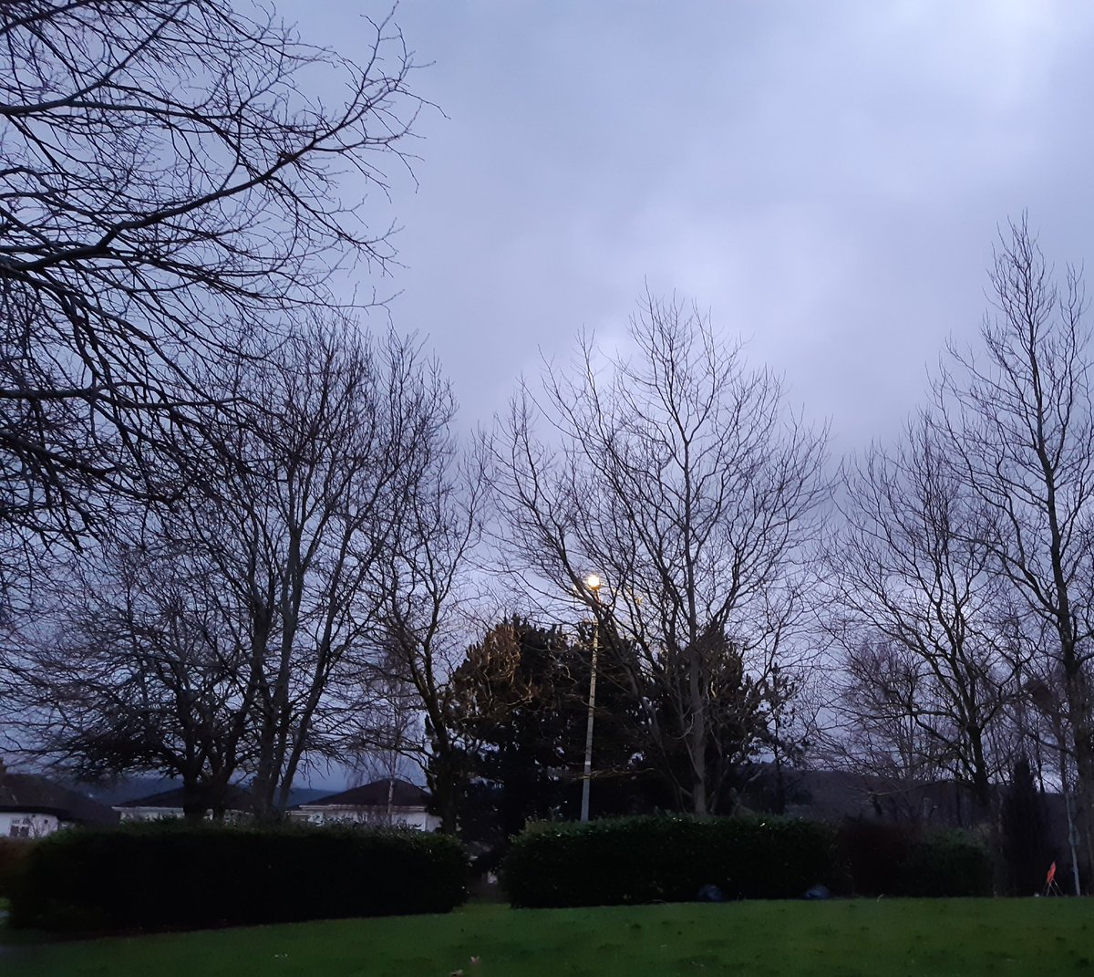 ZoeMillerAuthor's tweet photo. A short,  late walk after a busy day, great that this is what 6pm looks like. #grandstretch 
#100daysofwalking #round5crew https://t.co/sQXsd4wDbC