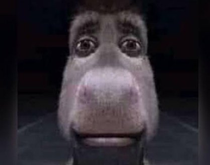 MSmultibox's tweet image. Pô cara ...