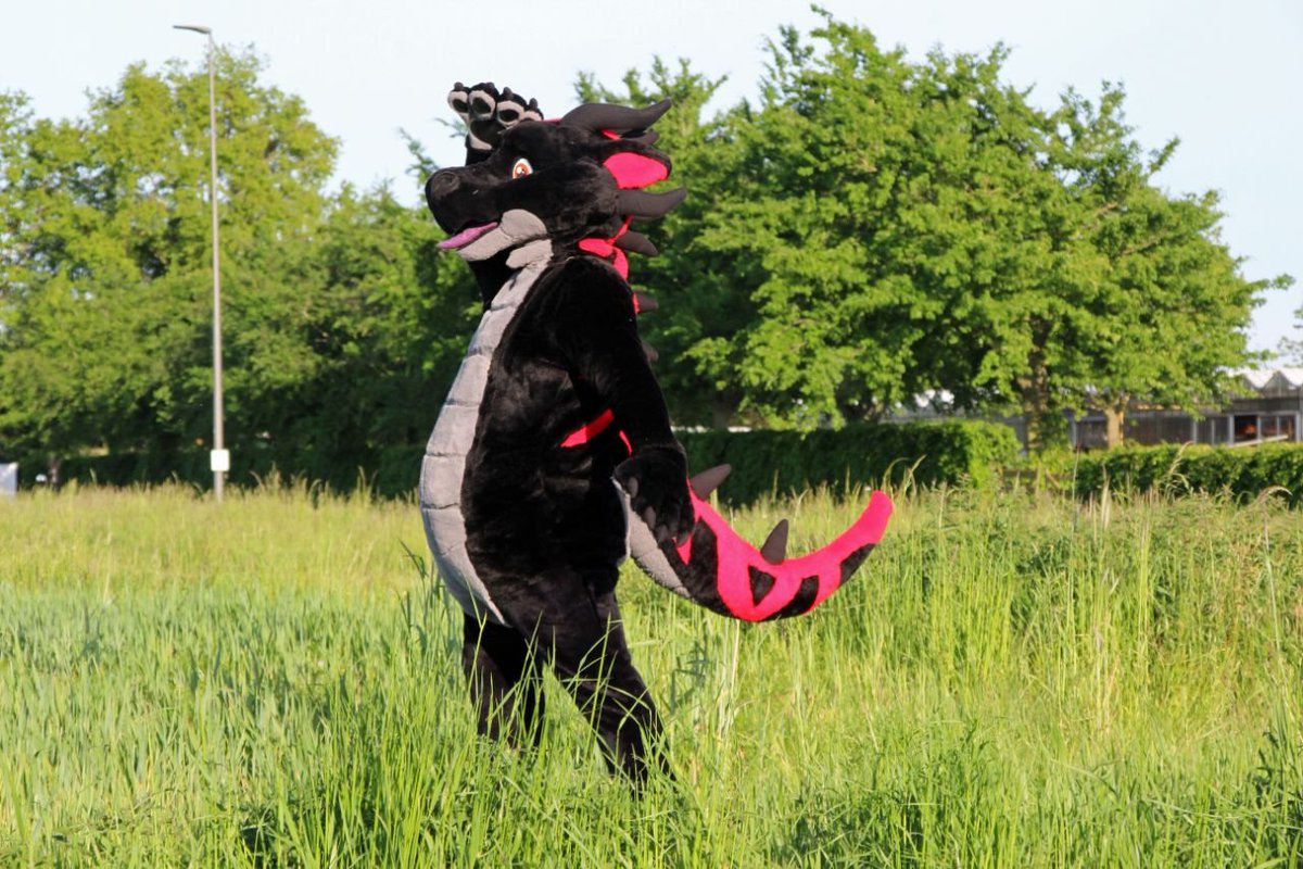 DevalDragon's tweet image. I got invited to a "Dog and Pony" show at work tomorrow. Is that a common term or am I the only one that uses it?