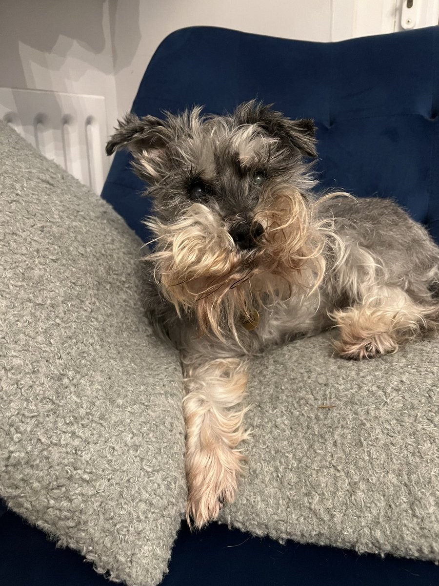 I’ve been told ones beardage is rather wild this evening, I thought it looked rather dashing, wouldn’t you agree?